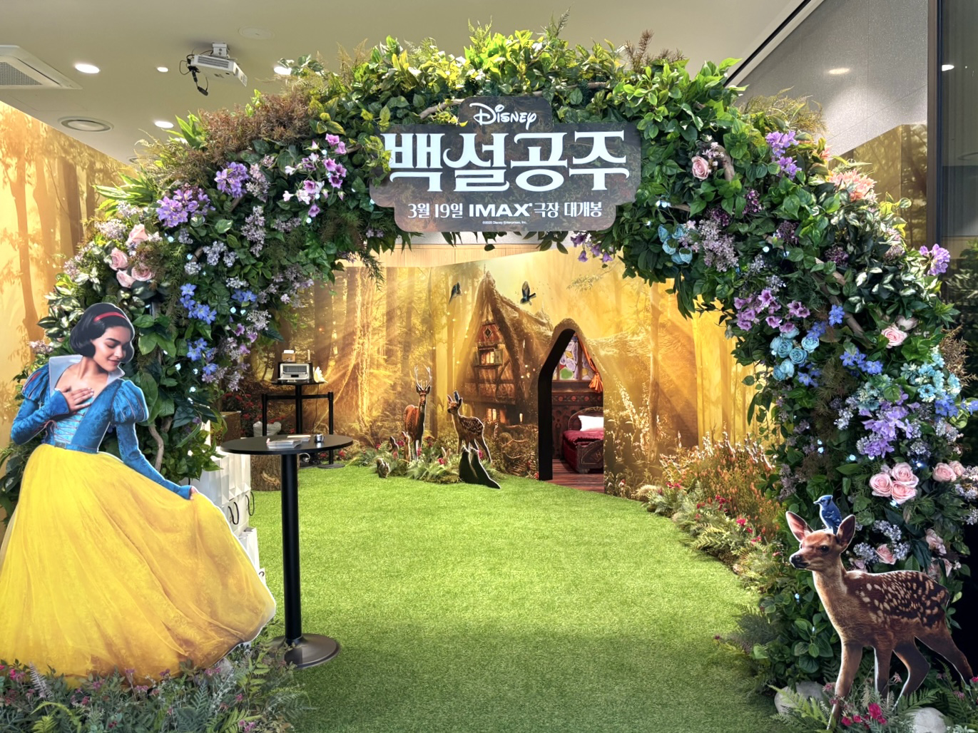 백설공주 팝업 오픈